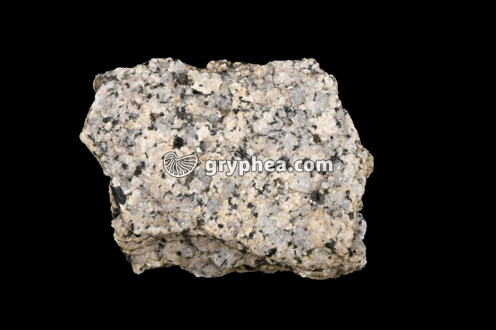 Granite - échantillon - gryphea.com